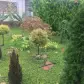 تصویر 3 خرید ویلا فلت ساحلی در سرخرود خط دریا ارزان و اقساطی