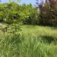تصویر 3 خرید زمین مسکونی ساحلی داخل بافت در سرخرود خانه دریا ارزان و اقساطی