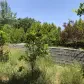 تصویر 5 خرید زمین مسکونی ساحلی داخل بافت در سرخرود خانه دریا ارزان و اقساطی