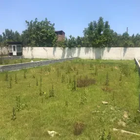 خرید زمین مسکونی شهرکی داخل بافت و نزدیک جاده در سرخرود زیباکنار ارزان و اقساطی