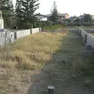 خرید زمین مسکونی ساحلی داخل بافت و نزدیک جاده در سرخرود خط دریا ارزان، اقساطی، پلاک اول دریا و جهت تفکیک
