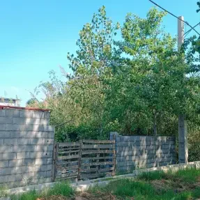 خرید زمین مسکونی ساحلی داخل بافت و نزدیک جاده در سرخرود حاجی‌کلا ارزان و اقساطی